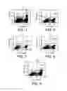 Fig. 02 - CD133 EPITOPES