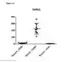 Fig. 06 - PVRIG polypeptides and methods of treatment