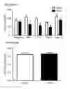 Fig. 18 - PREVENTING, TREATING, AND REDUCING (PERSISTENT) POST-TRAUMATIC HEADACHE