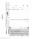 Fig. 3092 - Methods of treating cardiovascular disease with an ASGR inhibitor