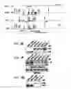 Fig. 02 - CD-20-SPECIFIC ANTIBODIES AND METHODS OF EMPLOYING SAME