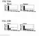 Fig. 49 - CD-20-SPECIFIC ANTIBODIES AND METHODS OF EMPLOYING SAME