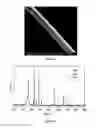 Fig. 06 - POLYMETALLOCARBOSILANE FROM ORGANIC METAL CATALYZED POLYMERIZATION AND USES THEREOF