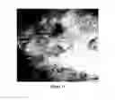 Fig. 07 - POLYMETALLOCARBOSILANE FROM ORGANIC METAL CATALYZED POLYMERIZATION AND USES THEREOF
