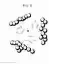 Fig. 04 - Polymer, hydrogel including the polymer and manufacturing method of the hydrogel