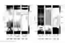 Fig. 11 - Modified nano-clays and coating compositions including the same