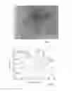Fig. 03 - NANO CRYSTALLINE CELLULOSE IN CONSTRUCTION APPLICATIONS