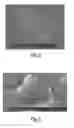 Fig. 04 - Coated silver colored colorant