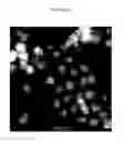 Fig. 07 - Semiconductor nanocrystal particles and devices including the same