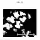 Fig. 09 - Semiconductor nanocrystal particles and devices including the same