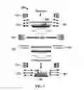 Fig. 04 - Non-linear flow path devices and methods for cell culture