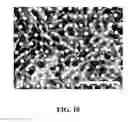 Fig. 10 - Non-linear flow path devices and methods for cell culture