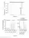 Fig. 07 - Comprehensive in vitro reporting of cleavage events by sequencing (Circle-seq)