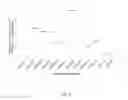 Fig. 07 - Constructs and method of use for rice gluatamate receptor-like genes