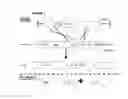 Fig. 02 - Genome editing without nucleases