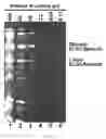 Fig. 12 - RECOMBINANT RNA PRODUCTION