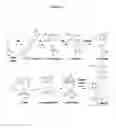 Fig. 02 - Compositions and methods for producing podophyllotoxin derivatives