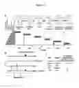 Fig. 16 - Compositions and methods for producing podophyllotoxin derivatives