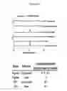 Fig. 30 - Compositions and methods for producing podophyllotoxin derivatives
