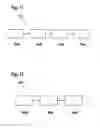 Fig. 07 - Device and method for processing a biological sample and analysis system for analyzing a biological specimen