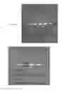 Fig. 04 - Method for detecting guanine-abasic site in DNA