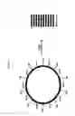 Fig. 04 - Formalin Fixed Paraffin Embedded (FFPE) Control Reagents