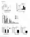 Fig. 04 - METHODS FOR ASSESSING RESPONSIVENESS TO ASTHMA TREATMENT BASED ON VNN-1 EXPRESSION AND PROMOTER METHYLATION