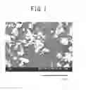 Fig. 02 - Slurry for thermal spraying, sprayed coating, and method for forming sprayed coating