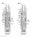 Fig. 09 - Modified surface properties of percussion tools used in downhole drilling
