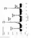 Fig. 03 - METHOD FOR GROWING NIOBIUM OXYNITRIDE LAYER