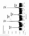 Fig. 05 - METHOD FOR GROWING NIOBIUM OXYNITRIDE LAYER