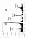 Fig. 07 - METHOD FOR GROWING NIOBIUM OXYNITRIDE LAYER