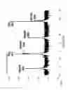 Fig. 09 - METHOD FOR GROWING NIOBIUM OXYNITRIDE LAYER