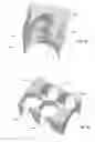 Fig. 09 - ARRANGEMENT FOR FEEDING COMMINUTED MATERIAL USING A PLUG SCREW FEEDER