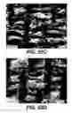 Fig. 50 - Soft absorbent sheets, structuring fabrics for making soft absorbent sheets, and methods of making soft absorbent sheets