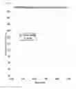 Fig. 08 - Acoustical ceiling tile