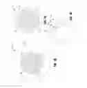 Fig. 03 - Floor drain grate assembly