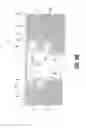 Fig. 16 - Floor drain grate assembly