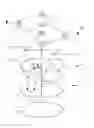 Fig. 01 - Folded dome like retractable opening structure and method
