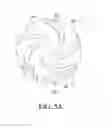 Fig. 07 - Impeller structure with improved rotation stability