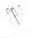 Fig. 05 - Telescoping Pipe Fitting