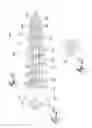 Fig. 10 - ANCHOR FOR HOLLOW WALLS