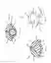 Fig. 07 - Shackle pin split nut assembly