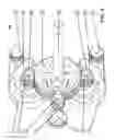 Fig. 05 - Multi-electric motor driven synchronous gearbox assembly with motor failure mechanism