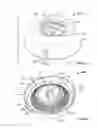 Fig. 34 - Butterfly valve