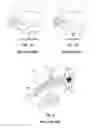 Fig. 02 - Apparatus for driving headlamp shield