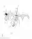 Fig. 03 - Archery release device having a neck movable along an adjustment axis