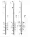 Fig. 10 - Ballistic arrow