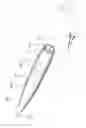 Fig. 03 - Rifle bullet