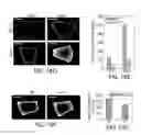 Fig. 32 - Protein retention expansion microscopy